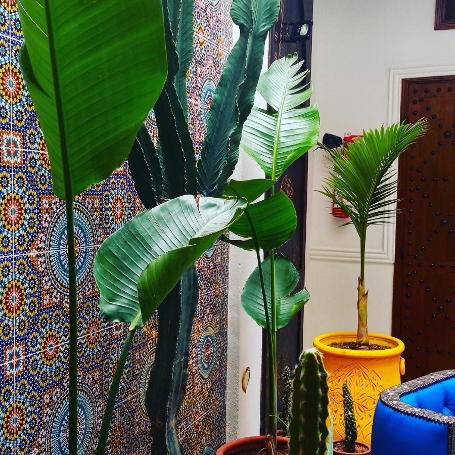 Riad Heklek مراكش المظهر الخارجي الصورة